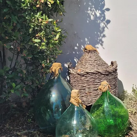 In Guest house Torre Lapillo